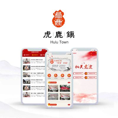 金华东讯网络科技公司专业从事金华app开发